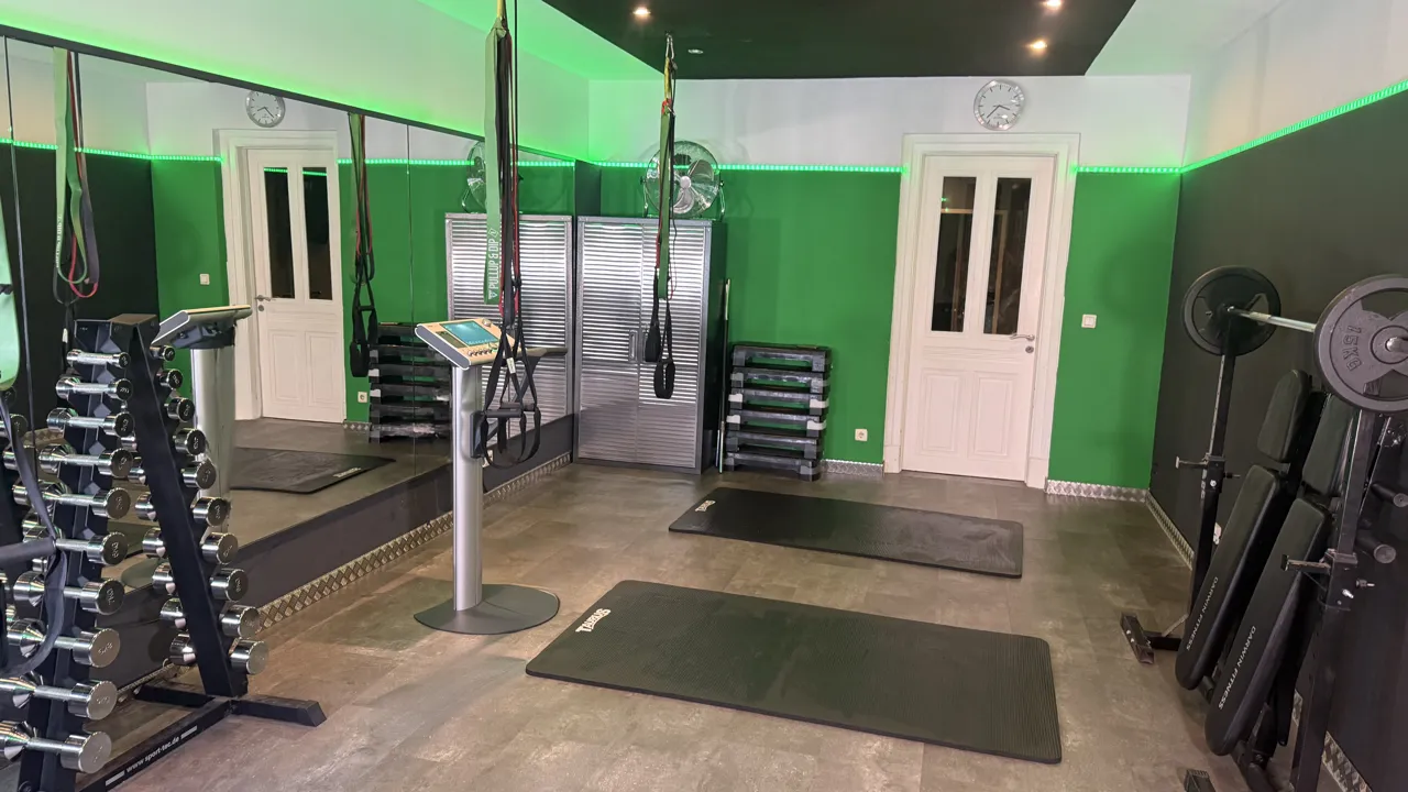 Sling-Trainer und Spiegelwand im Raw and Ready - Gym